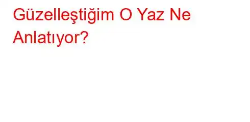 Güzelleştiğim O Yaz Ne Anlatıyor?