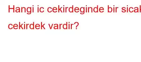 Hangi ic cekirdeginde bir sicak cekirdek vardir