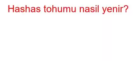 Hashas tohumu nasil yenir?