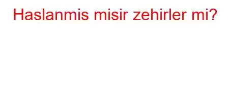 Haslanmis misir zehirler mi?