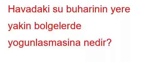 Havadaki su buharinin yere yakin bolgelerde yogunlasmasina nedir?