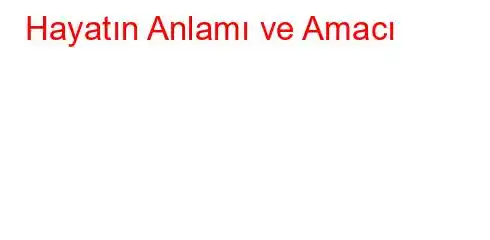 Hayatın Anlamı ve Amacı