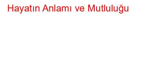  Hayatın Anlamı ve Mutluluğu