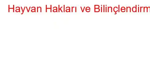 Hayvan Hakları ve Bilinçlendirme