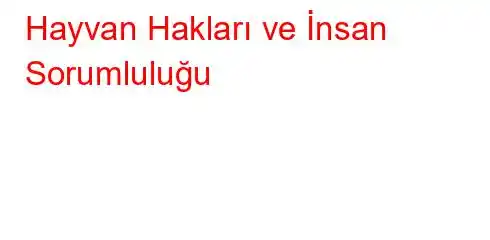 Hayvan Hakları ve İnsan Sorumluluğu