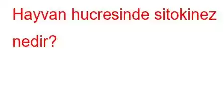 Hayvan hucresinde sitokinez nedir?