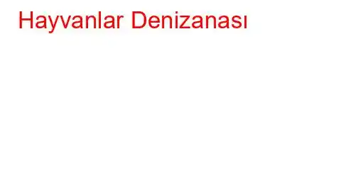 Hayvanlar Denizanası