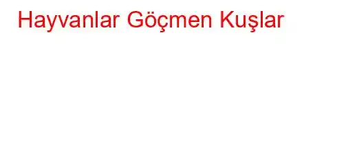 Hayvanlar Göçmen Kuşlar