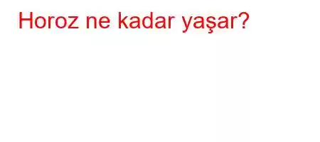 Horoz ne kadar yaşar?