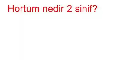 Hortum nedir 2 sinif