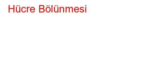 Hücre Bölünmesi