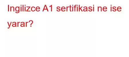 Ingilizce A1 sertifikasi ne ise yarar?