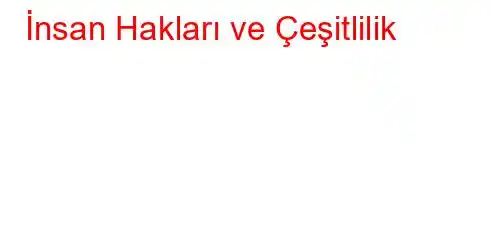 İnsan Hakları ve Çeşitlilik