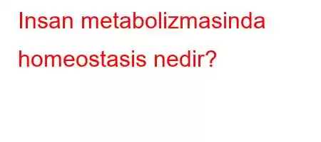 Insan metabolizmasinda homeostasis nedir?