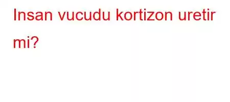 Insan vucudu kortizon uretir mi?