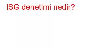 ISG denetimi nedir?