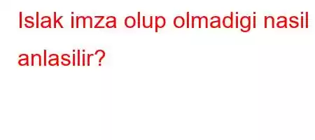 Islak imza olup olmadigi nasil anlasilir?