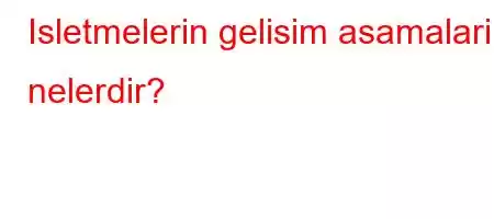 Isletmelerin gelisim asamalari nelerdir?