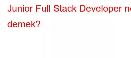 Junior Full Stack Developer ne demek?