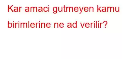 Kar amaci gutmeyen kamu birimlerine ne ad verilir?