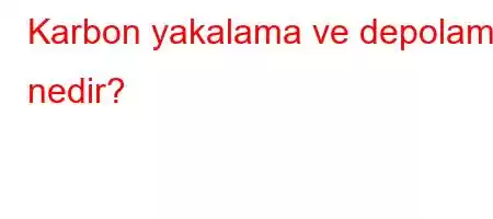 Karbon yakalama ve depolama nedir?