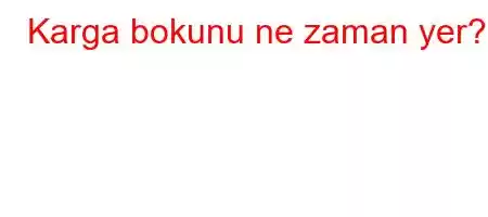 Karga bokunu ne zaman yer?