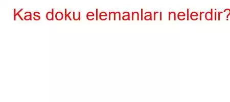 Kas doku elemanları nelerdir