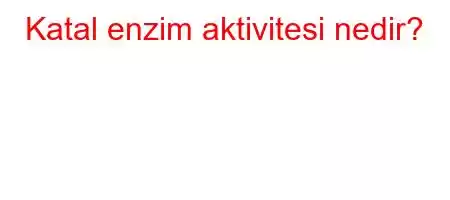 Katal enzim aktivitesi nedir?