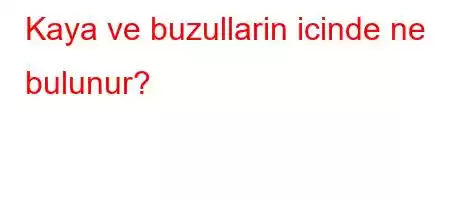 Kaya ve buzullarin icinde ne bulunur?