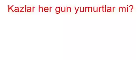 Kazlar her gun yumurtlar mi?