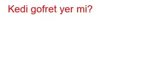 Kedi gofret yer mi?