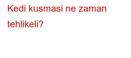 Kedi kusmasi ne zaman tehlikeli?