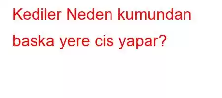 Kediler Neden kumundan baska yere cis yapar?