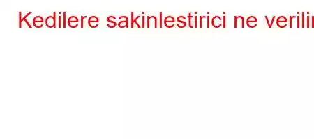 Kedilere sakinlestirici ne verilir?