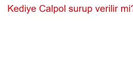 Kediye Calpol surup verilir mi?