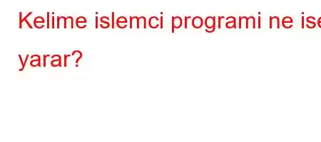 Kelime islemci programi ne ise yarar?