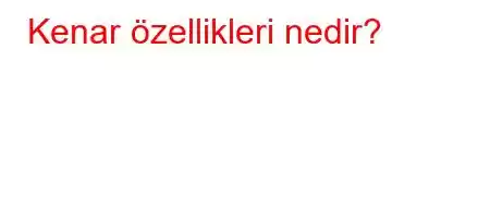 Kenar özellikleri nedir?