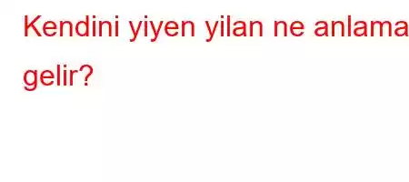 Kendini yiyen yilan ne anlama gelir