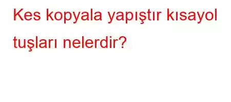 Kes kopyala yapıştır kısayol tuşları nelerdir?