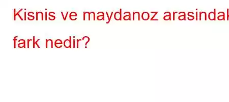 Kisnis ve maydanoz arasindaki fark nedir?