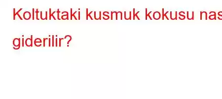 Koltuktaki kusmuk kokusu nasil giderilir?