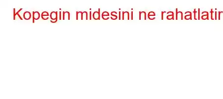 Kopegin midesini ne rahatlatir?