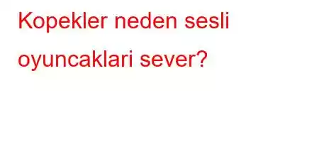 Kopekler neden sesli oyuncaklari sever