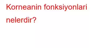 Korneanin fonksiyonlari nelerdir