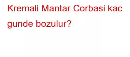 Kremali Mantar Corbasi kac gunde bozulur?