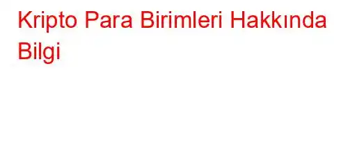 Kripto Para Birimleri Hakkında Bilgi