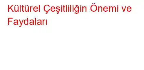 Kültürel Çeşitliliğin Önemi ve Faydaları