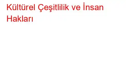 Kültürel Çeşitlilik ve İnsan Hakları