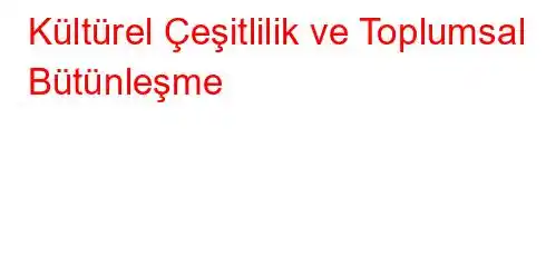 Kültürel Çeşitlilik ve Toplumsal Bütünleşme