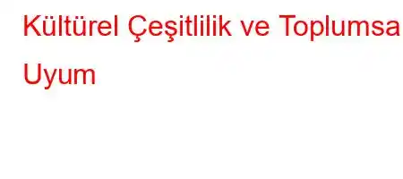 Kültürel Çeşitlilik ve Toplumsal Uyum